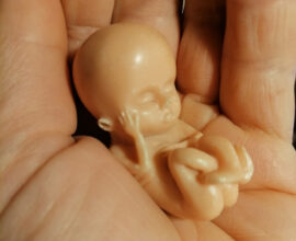 Baby 1x